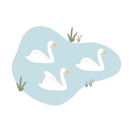 Beautiful swans swim on the lake. Vector illustration of swans on a pond. Hand drawn illustration in flat style.のイラスト素材