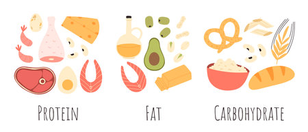Set of healthy macronutrients. proteins, fats and carbs or carbohydrates presented by food products.のイラスト素材