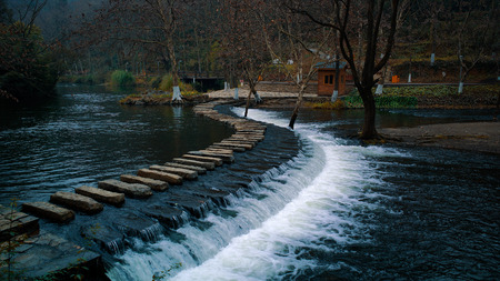 Wetlandの写真素材