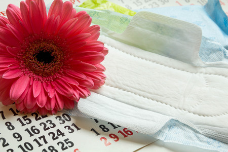 Sanitary pads, calendar, towel and pink Gerber on light backgroundの写真素材