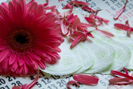 Sanitary pads, calendar, towel and pink Gerber on light backgroundの写真素材