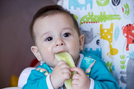 baby eating vegetables. in a high chair. A teething baby, eating the cucumber, the concept of baby food, feeding baby. Newborn home. healthy food. The first food a child eat nutritious snacks.の写真素材