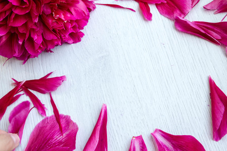Beautiful pink peonies flowers with a blank notebook on a gray stone background, copy space for your text or design, top view, with a flat lay. Stylish mock branding for showing your work.の写真素材