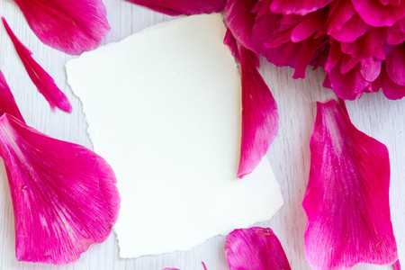 Beautiful pink peonies flowers with a blank notebook on a gray stone background, copy space for your text or design, top view, with a flat lay. Stylish mock branding for showing your work.の写真素材