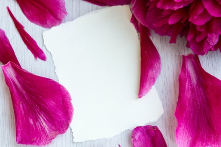 Beautiful pink peonies flowers with a blank notebook on a gray stone background, copy space for your text or design, top view, with a flat lay. Stylish mock branding for showing your work.の写真素材