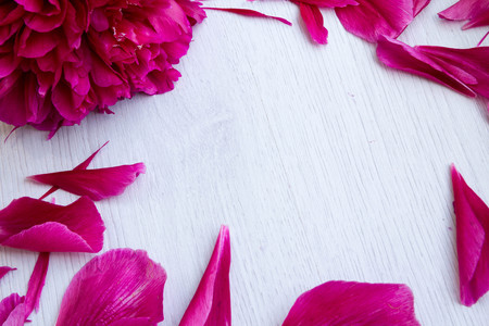 Beautiful pink peonies flowers with a blank notebook on a gray stone background, copy space for your text or design, top view, with a flat lay. Stylish mock branding for showing your work.の写真素材