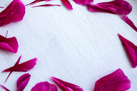 Beautiful pink peonies flowers with a blank notebook on a gray stone background, copy space for your text or design, top view, with a flat lay. Stylish mock branding for showing your work.の写真素材