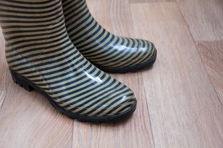 the concept of the fall, work in the garden, place for text, striped rubber boots for work or walking rainy weather. top view point. rain boots. wellington boots.の写真素材