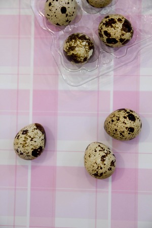 Plate with quail eggs Quail eggs in a wooden bowl. place for text. nutrition protein diet. Top view, flat lay with copyspace slogan or text message. colorful backgroundの写真素材
