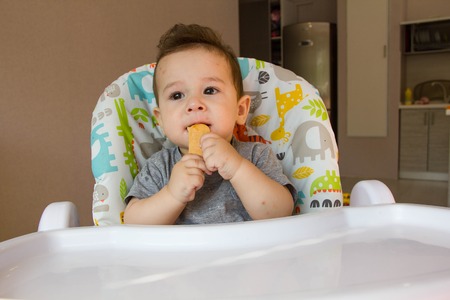 Portrait of cute baby boy eating child biscuitの写真素材
