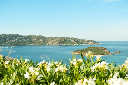 A view of a wonderful beach Sardinia, Italy. the beautiful nature of the Mediterranean, clear blue water.の写真素材