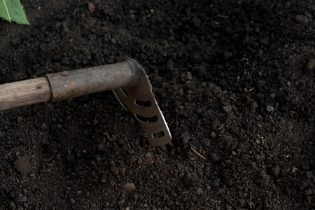 an old shovel stuck into the black earth dug in the garden.の写真素材