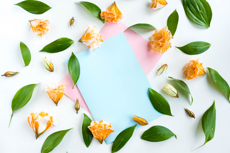 Mockup with clipboard, beige roses. Flat lay, top view. Empty frame and flowers on blue and pink pastel background with copy space. Soft effect filter.の写真素材
