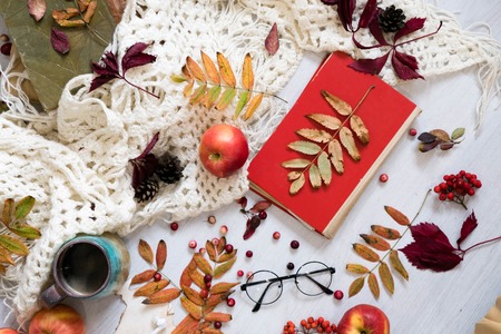 Pile of autumn leaves, pine cones nuts over white background. collection beautiful colorful leaves border from autumn elements. top view, copy space. Bright Pretty Fall Display of Colorful Ash Leavesの写真素材