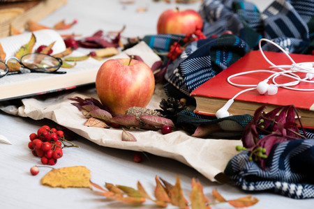 Pile of autumn leaves, pine cones nuts over white background. collection beautiful colorful leaves border from autumn elements. top view, copy space. Bright Pretty Fall Display of Colorful Ash Leavesの写真素材