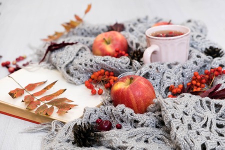 Pile of autumn leaves, pine cones nuts over white background. collection beautiful colorful leaves border from autumn elements. top view, copy space. Bright Pretty Fall Display of Colorful Ash Leavesの写真素材