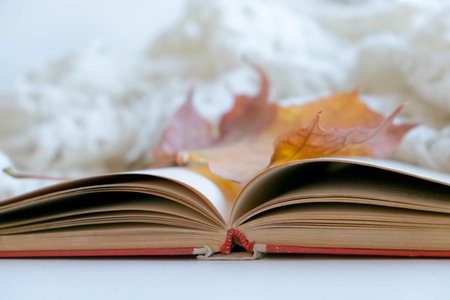 Autumn mood. Cup of coffee, books, blanket and yellow leaves, top view. Toned photo. old vintage book, the concept of learning, self-development, hygge style, comfort conceptの写真素材