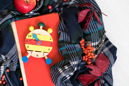 Pile of autumn leaves, pine cones nuts over white background. collection beautiful colorful leaves border from autumn elements. top view, copy space. Bright Pretty Fall Display of Colorful Ash Leavesの写真素材
