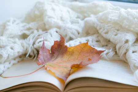 Autumn mood. Cup of coffee, books, blanket and yellow leaves, top view. Toned photo. old vintage book, the concept of learning, self-development, hygge style, comfort conceptの写真素材