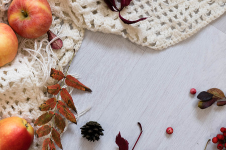 Pile of autumn leaves, pine cones nuts over white background. collection beautifulの写真素材