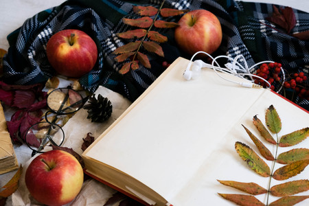 Cozy winter still life: cup of hot coffee and opened book. Cup of tea with open book bunch of red rowan. Back to school. Autumn, fall leaves, Flat lay, top view. sunday relax and still life concept.の写真素材