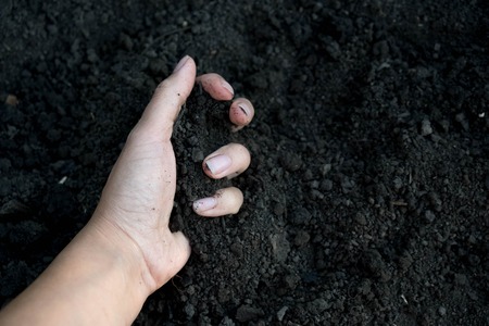 Female hand holding a handful of rich fertile soil that has been newly dug over or tilled in a concept of conservation of nature and agriculture. Blurred motion the soil falling to the ground.の写真素材
