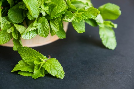 mint leaf. Green fresh mint, selective focus. Bunch of Fresh green organic mint leaf closeup. Peppermint. Natural light. Selective focus. Close up on a black background. Top view, flat lay. copy spaceの写真素材