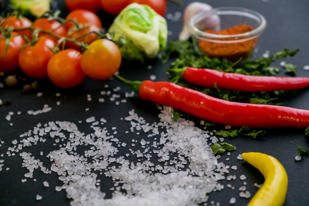 Close up of colorful spices and fresh vegetables for cooking on dark metal background with space for text. Top view. Bio Healthy food ingredients.の写真素材