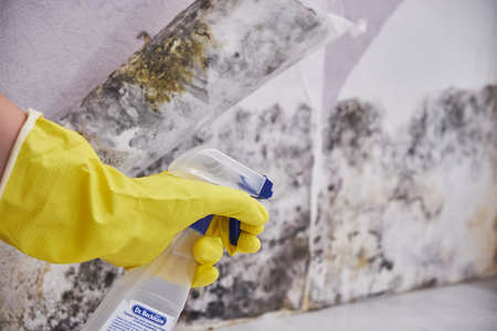 Close-up Of A Shocked Woman Looking At Mold On Wallの写真素材