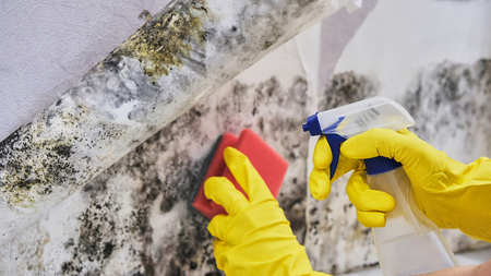 Close-up Of A Shocked Woman Looking At Mold On Wallの写真素材
