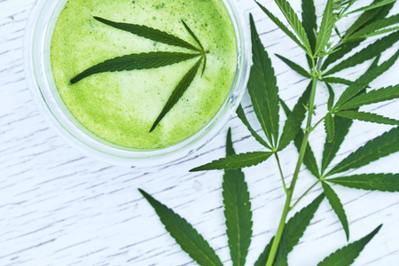 Healthy cannabis smoothie on wooden background. Natural supplement, detox and healthy living.の写真素材