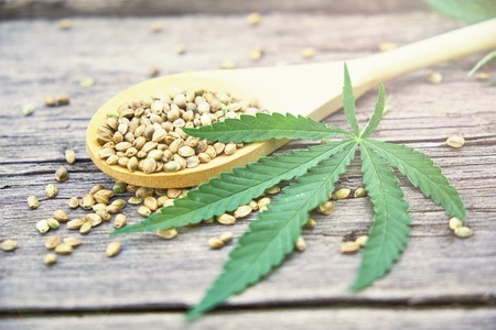 hemp leaves on wooden background, seeds, cannabis oil extracts in jarsの写真素材