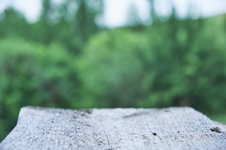 Empty wooden table with garden bokeh for a catering or food background with a country outdoor theme,Template mock up for display productの写真素材