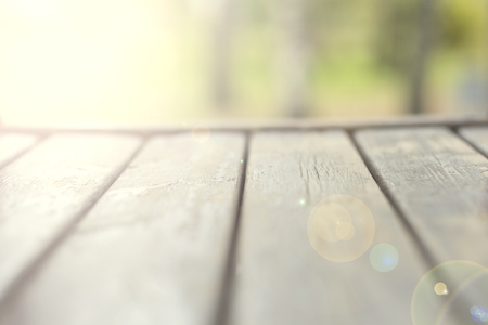 table space and apple garden of trees and fruitsの写真素材