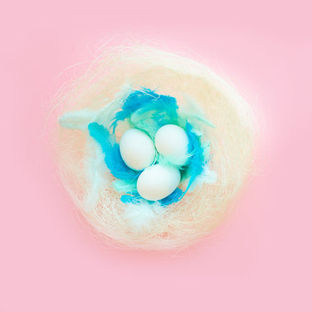 colorful background for easter, eggs in a nest with blue feathers