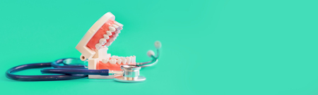 White teeth model and stakescope on blue background. teeth care. concept of preventive examination of the oral cavity.の写真素材