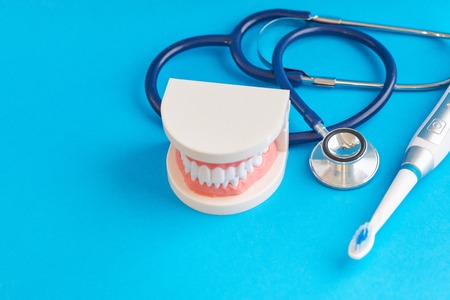 White teeth model and stakescope on blue background. teeth care. concept of preventive examination of the oral cavity.の写真素材