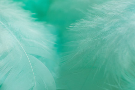 Green turquoise and blue color trends chicken feather texture background.