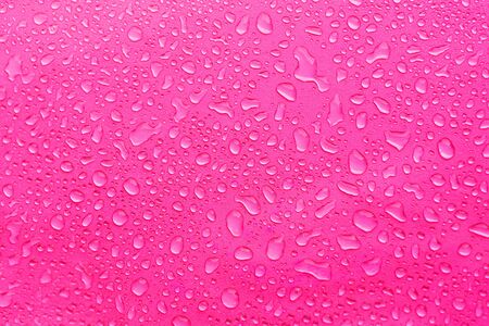 Water Drops On pink Background, Texture colorful waterdrop/の写真素材