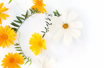 Flowers composition. various colorful flowers on white background. Flat lay, top view. yellow and...