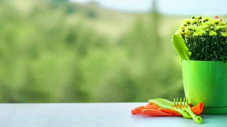 Yellow flower pot ready for transplant. Garden, gardening conceptの写真素材
