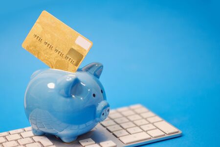 piggy bank and Pile of credit cards , financial waste. Debt restructuring, financial distress, renegotiate its delinquent debts. on a blue backgroundの写真素材