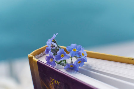 macro photo open books with a spring flowers nostalgic romantic mood concept