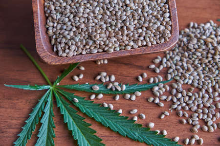 seeds hemp on the table, oil in a glass jar, cannabis leaves isolated on white backgroundの写真素材