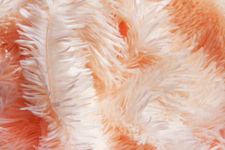 delicate soft background of plush fabric folds on white background. Copy space. Flat lay. loose folds on the fabric of faux fur of lilac color. Details of warm winter clothesの写真素材