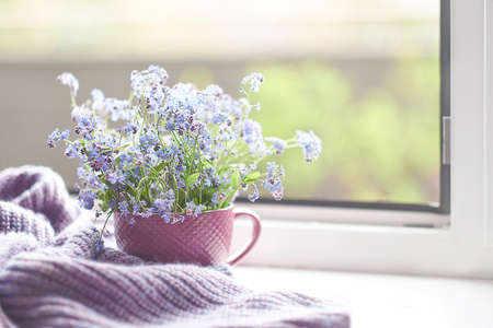 Violet warm plaid blanket on wooden rustic bench. Photo toned, selective focus. Cozy home still life: spring flowers with warm plaid on windowsillの写真素材