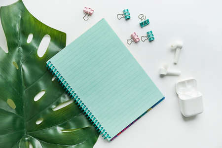 Stylish minimalistic workplace with notebook, office plant, notebook in flat lay style. White background. copy space, flat lay, top view, mock upの写真素材