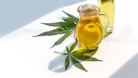 seeds hemp on the table, oil in a glass jar, cannabis leaves isolated on white backgroundの写真素材