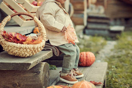 little girl playing with autumn leaves. dressed in warm autumn clothes.の写真素材