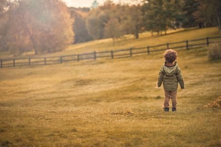 little boy walks alone in the autumn park.